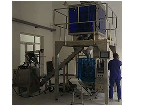 袋裝獸藥包裝機(jī)械設(shè)備